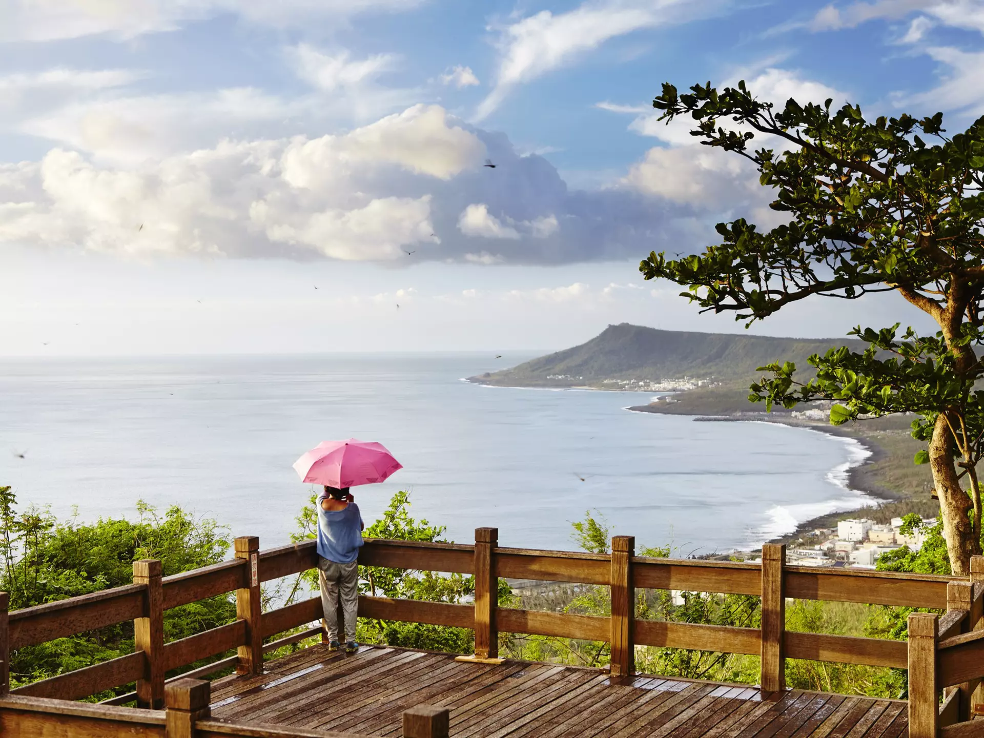 Dragonflies flit by in the popular sunset-viewing spot at Guanshan.
Lonely Planet Traveller Magazine, issue 97, Great Escape, Taiwan