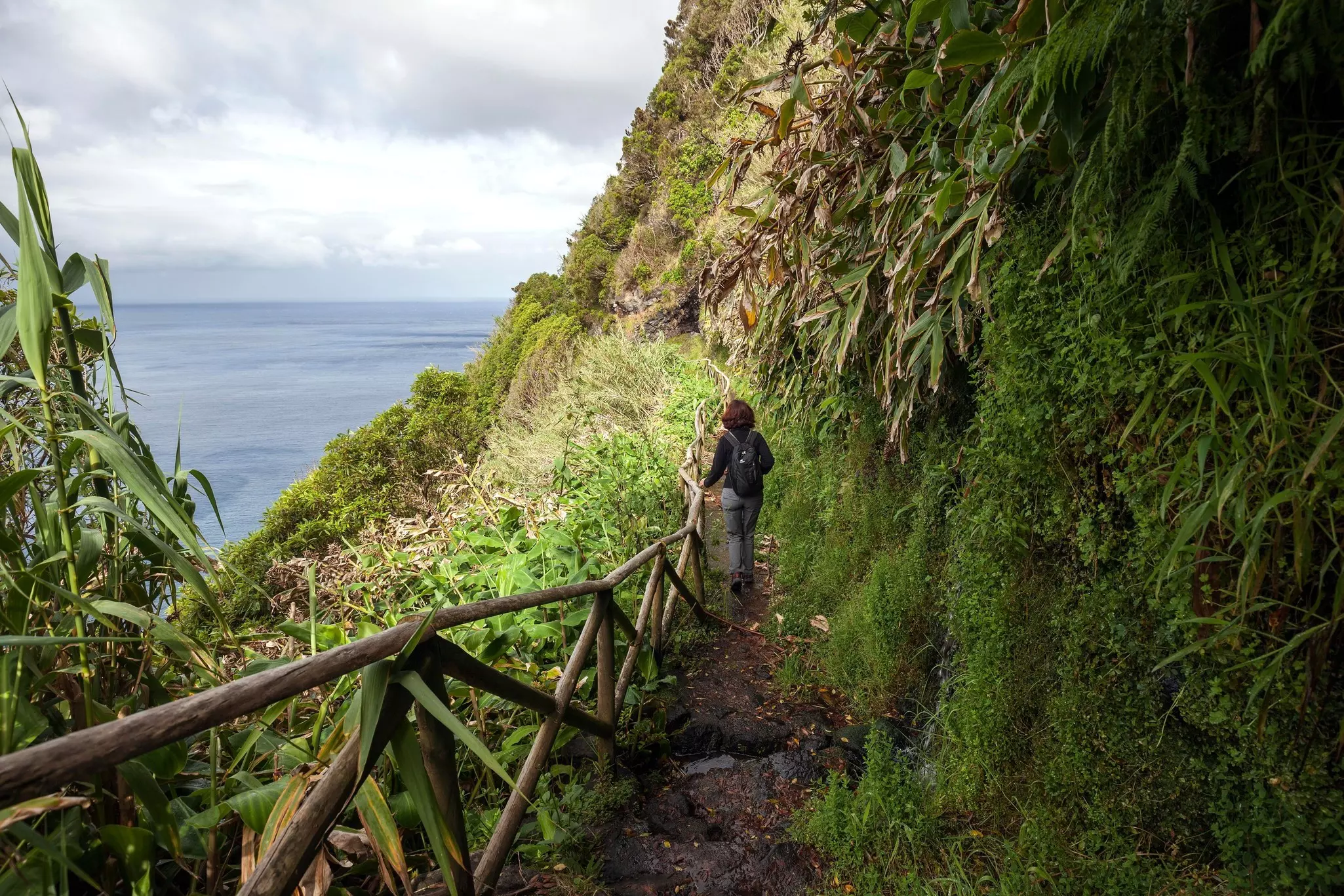 Hiker on a hiking trail on the south coast near Faja de Lopo Vaz, island of Flores, Azores, Portugal, License Type: media, Download Time: 2026-03-22T23:54:48.000Z, User: bhealy950, Editorial: false, purchase_order: 65050 - Digital Destinations and Articles, job: Lonely Planet Online Editorial, client: Best hikes in the Azores, other: Brian Healy