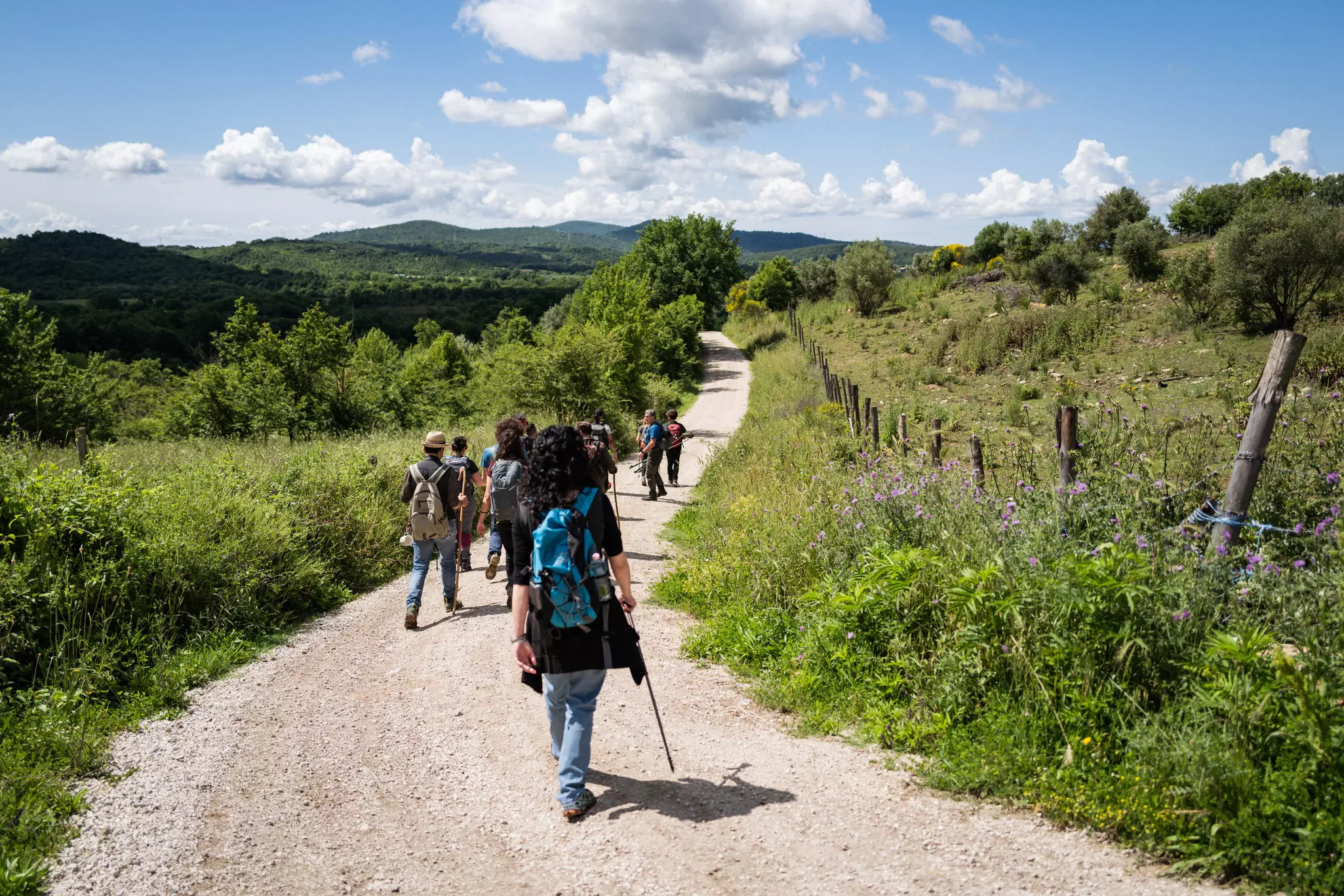 Group of hikers on the Via Francigena trail in Tuscany