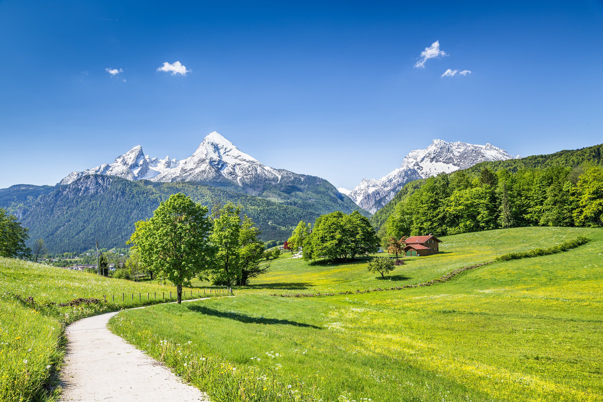 Idyllic summer landscape in the Alps, Nationalpark Berchtesgadener Land, Bavaria, Germany, License Type: media, Download Time: 2025-10-02T11:08:28.000Z, User: claramonitto, Editorial: false, purchase_order: 56530 - Guidebooks, job: Global Publishing-WIP, client: Germany 12, other: Clara Monitto