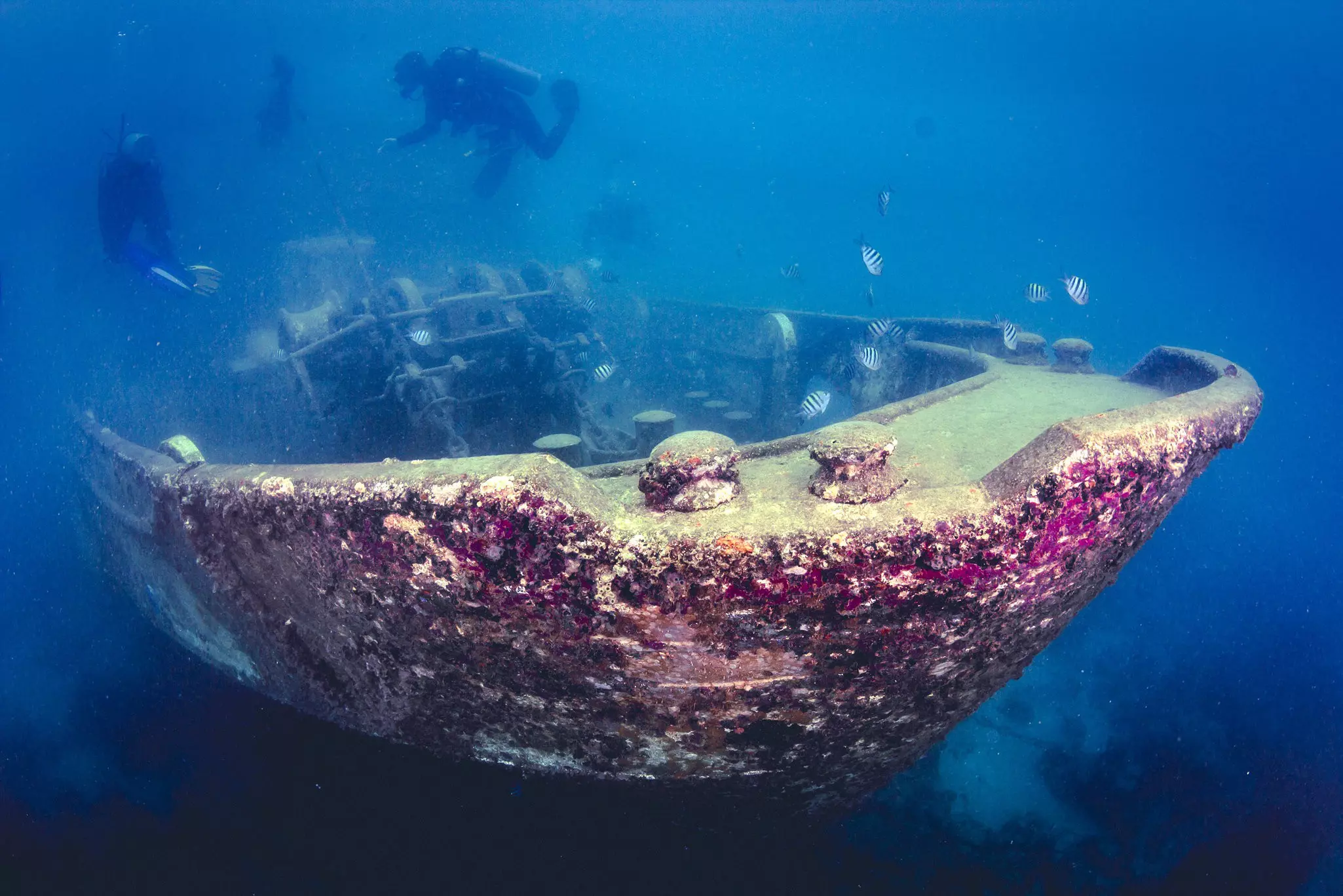 Divers swimming above the Atlantic Princes shipwreck in the Caribbean Sea off the Dominican Republic.