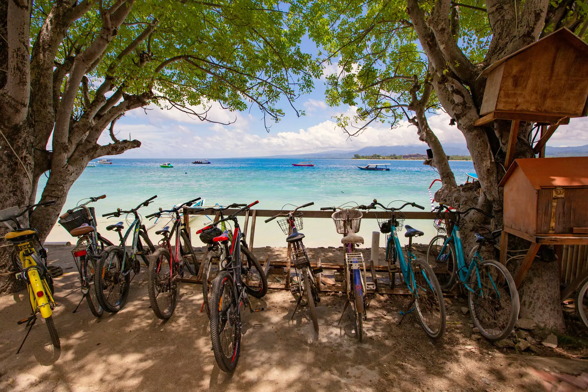 Bikes for rent under the trees by the beach on Gili Air, Indonesia.