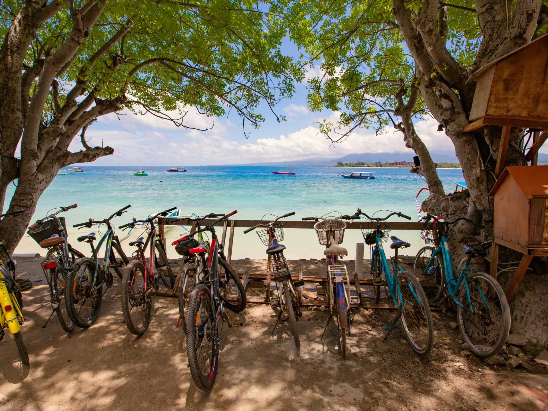 Bikes parked in a line along the edge of a beautiful sandy beach with blue water in Gili Island, Bali, Indonesia.