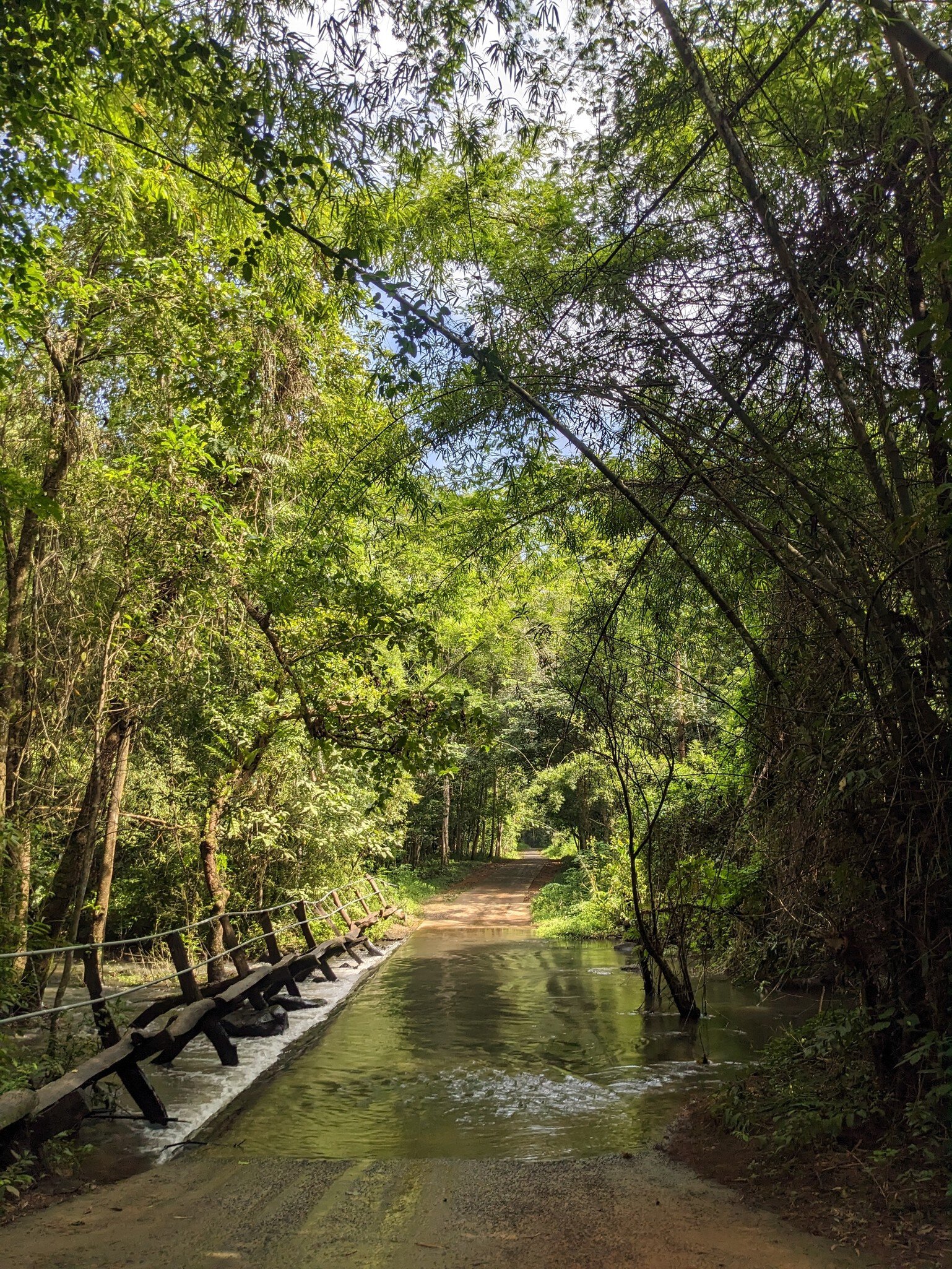Flooded path within the Nam Cat Tien National Park, Vietnam.