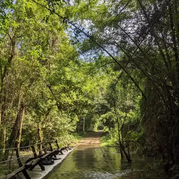 Flooded path within the Nam Cat Tien National Park, Vietnam.