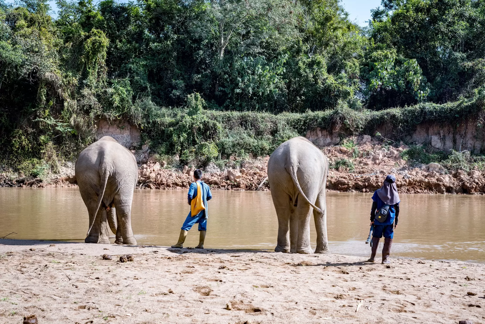 One resort is using this sustainable approach to securing the future of ethical elephant tourism in Thailand © Anna Haines / Lonely Planet