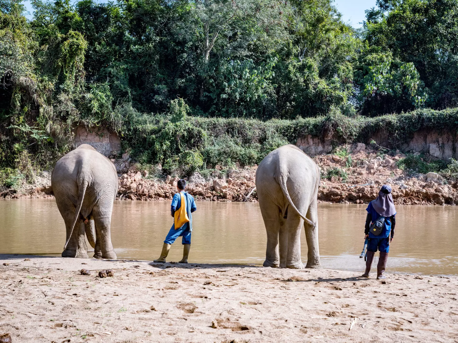 One resort is using this sustainable approach to securing the future of ethical elephant tourism in Thailand © Anna Haines / Lonely Planet
