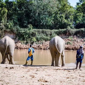 One resort is using this sustainable approach to securing the future of ethical elephant tourism in Thailand © Anna Haines / Lonely Planet