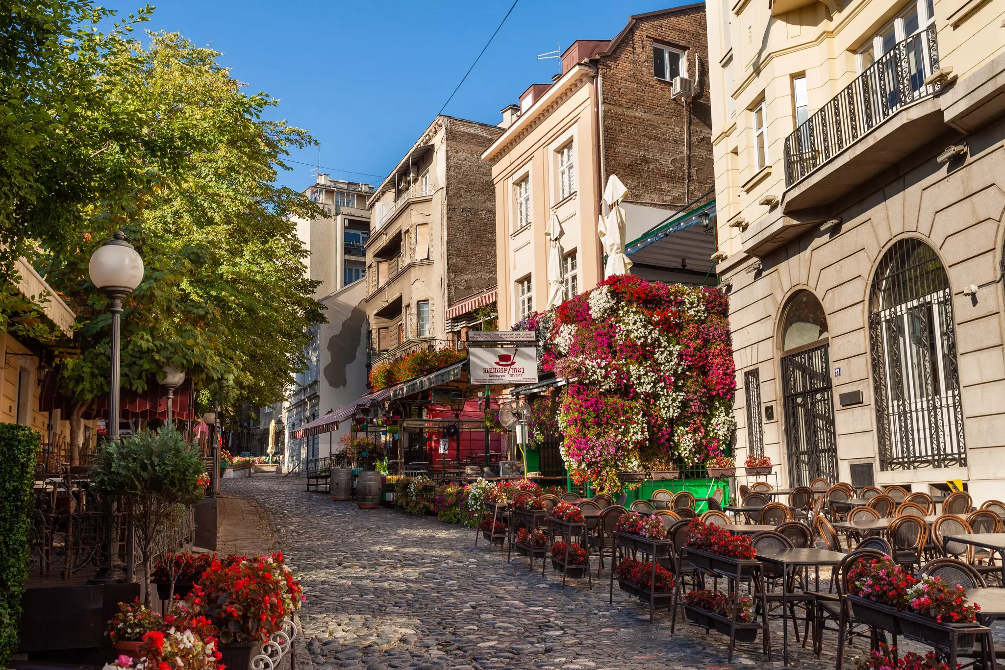 Skadarlija (Skandarska), Belgrade's bohemian quarter full of cafes and restaurants.