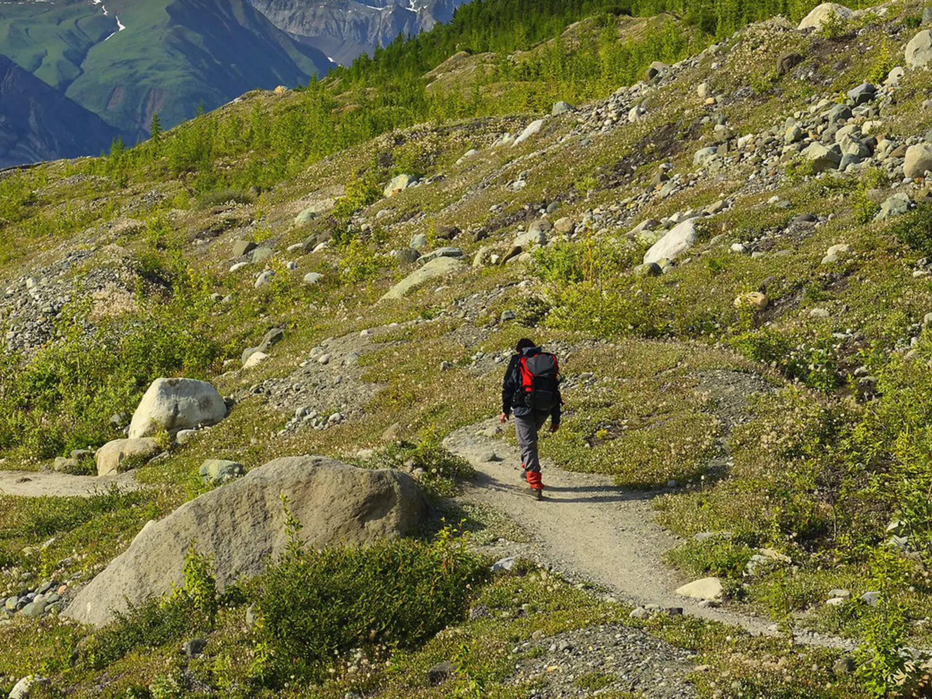 A hiker on a gravel trail through a mountainous region with a glacier in the valley below.