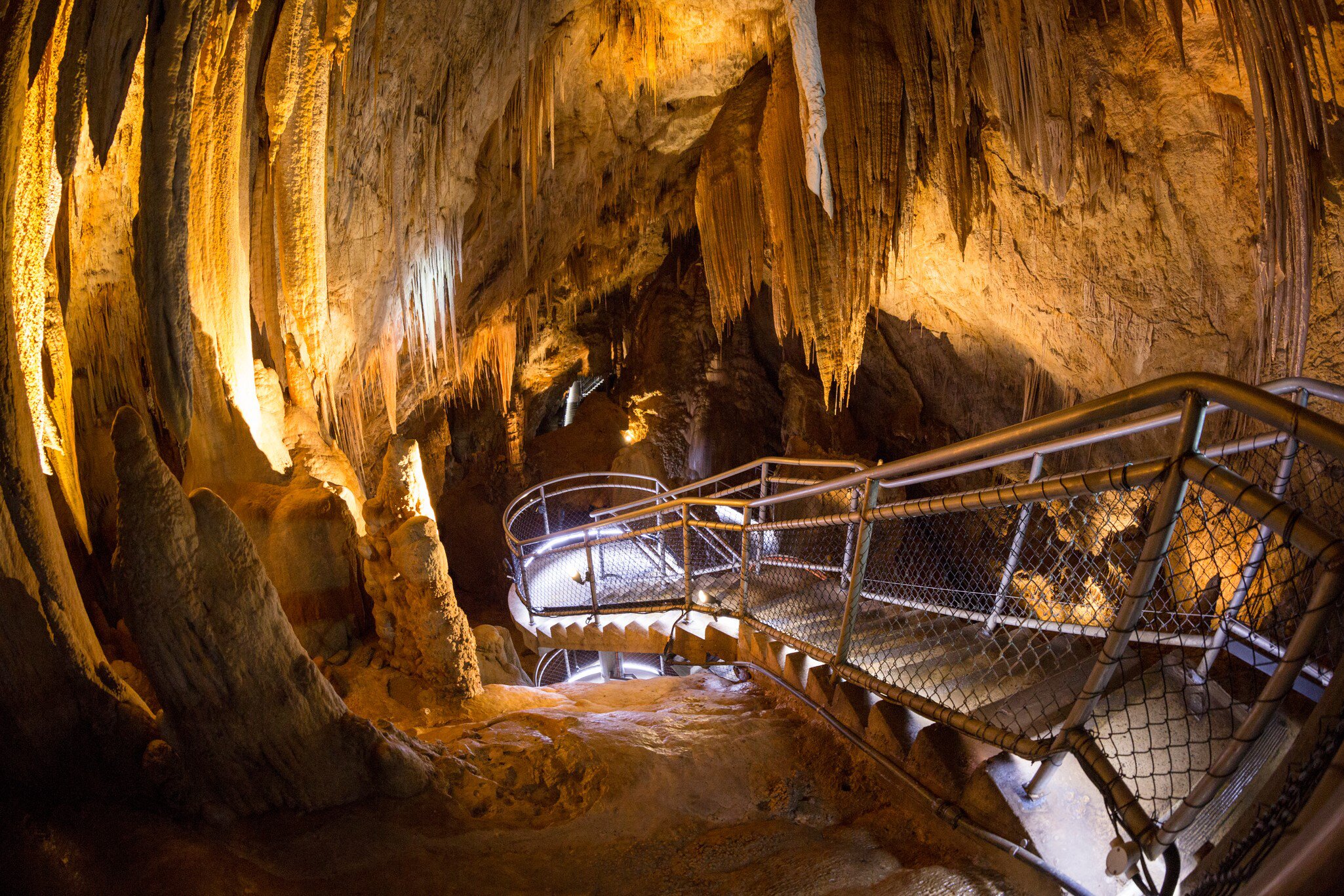 Interior of Hastings cave in Tasmania's south west, Australia.
