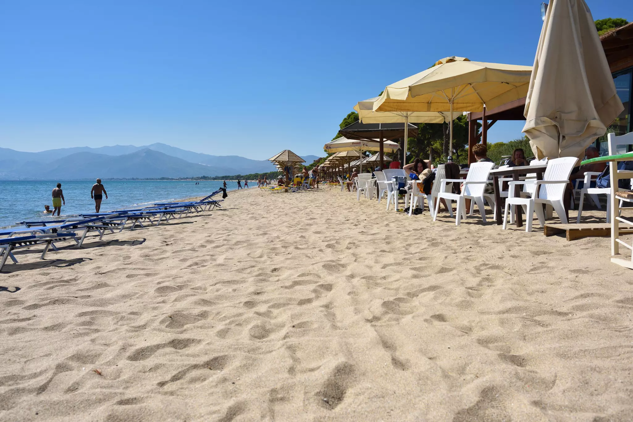 A sandy beach with umbrellas, chairs and chaises along its shore