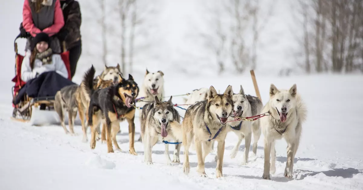The 15 best things to do in Vail, Colorado – beyond the slopes