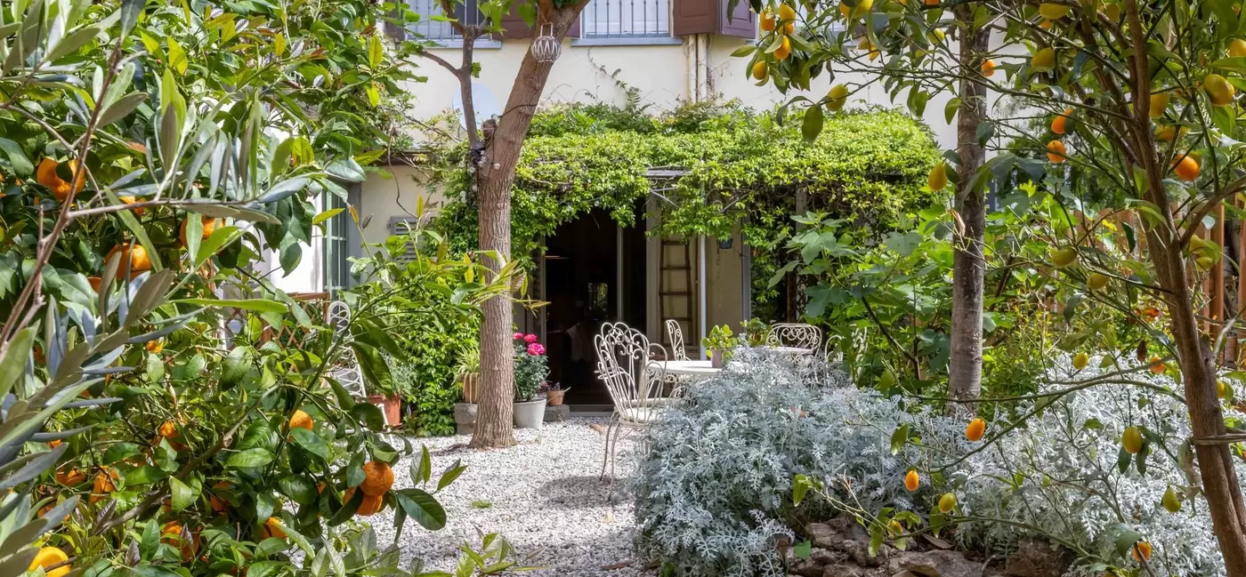 A peaceful garden with citrus trees, a table and chairs
