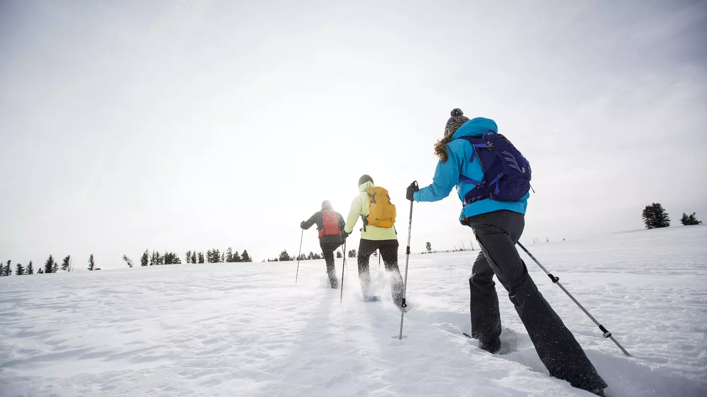 Three people snow shoeing near Bozeman