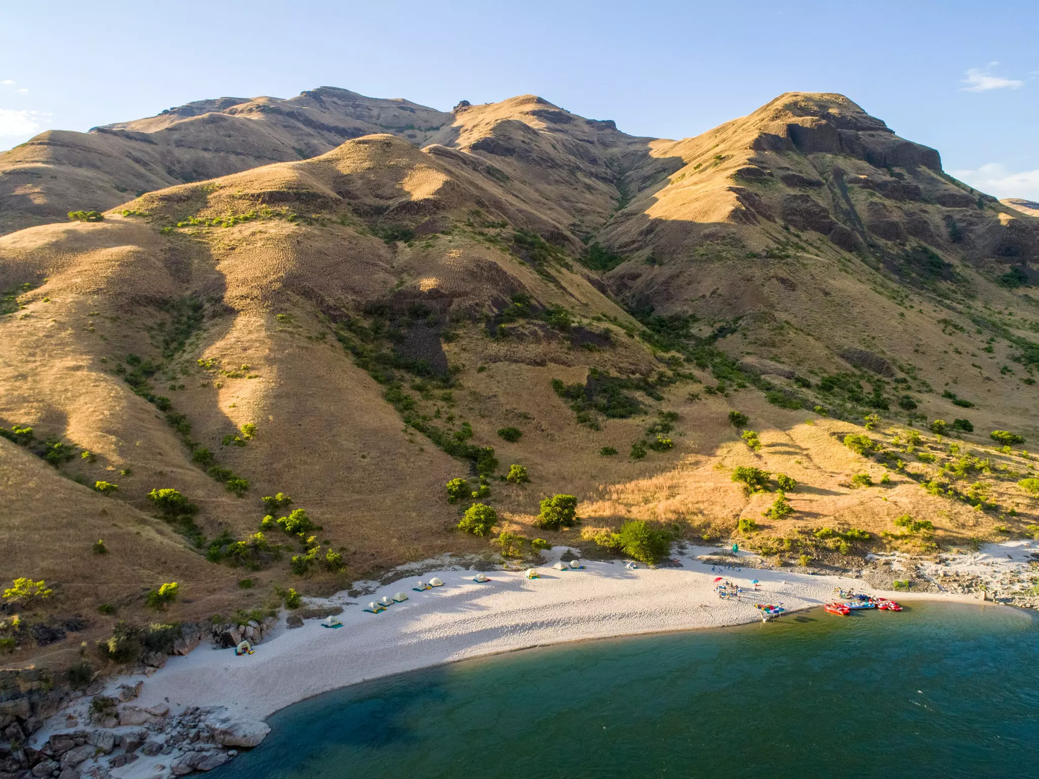 An aerial shot of a forest