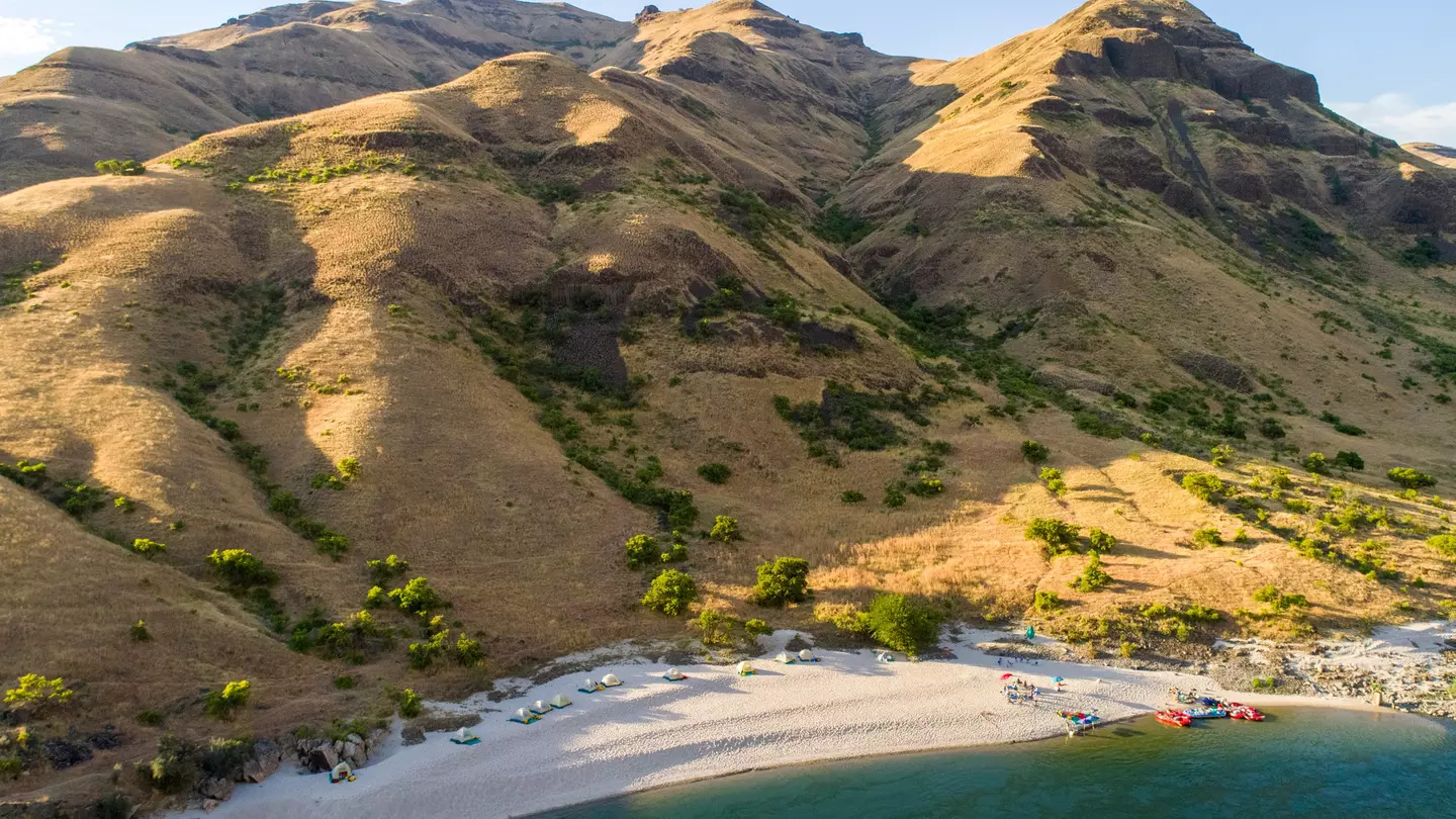 An aerial shot of a forest