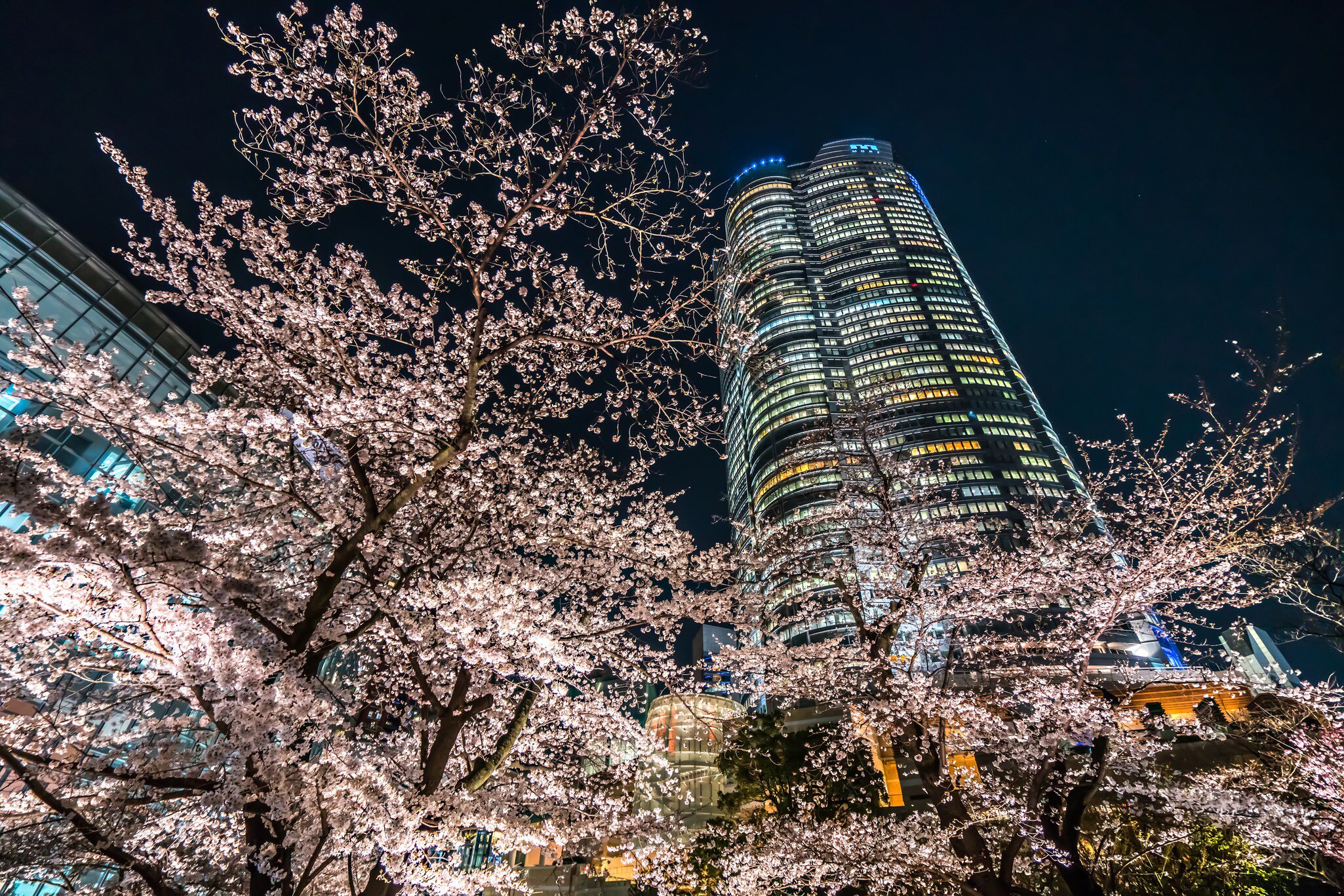 Tokyo, Japan - April 08, 2023: park in front of Roppongi Hills Mori Tower, a 54-story mixed-use skyscraper in Roppongi, Minato. Completed in 2003 it is the 6th-tallest building in Tokyo at 238 meters