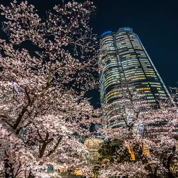 Tokyo, Japan - April 08, 2023: park in front of Roppongi Hills Mori Tower, a 54-story mixed-use skyscraper in Roppongi, Minato. Completed in 2003 it is the 6th-tallest building in Tokyo at 238 meters