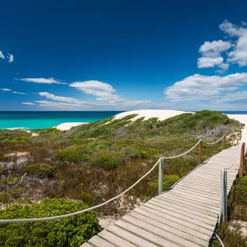 Scenic view of wooden footpath walkway leading to through fynbos vegetation to beautiful sand dunes at beautiful De Hoop nature reserve at Indian Ocean coast, South Africa against sky
