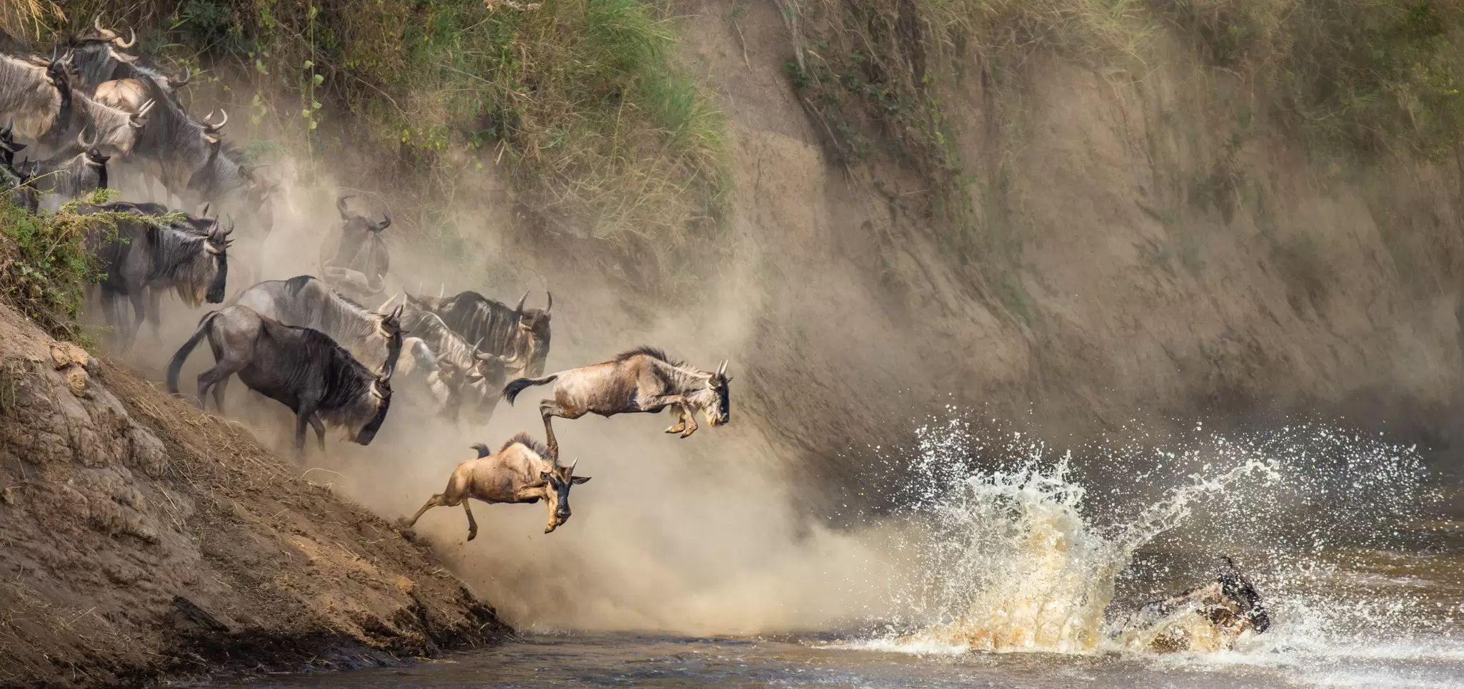 From jaw-dropping safaris to beach-hopping along the coast, these top tips will make your trip to Tanzania even better. GUDKOV ANDREY/Shutterstock