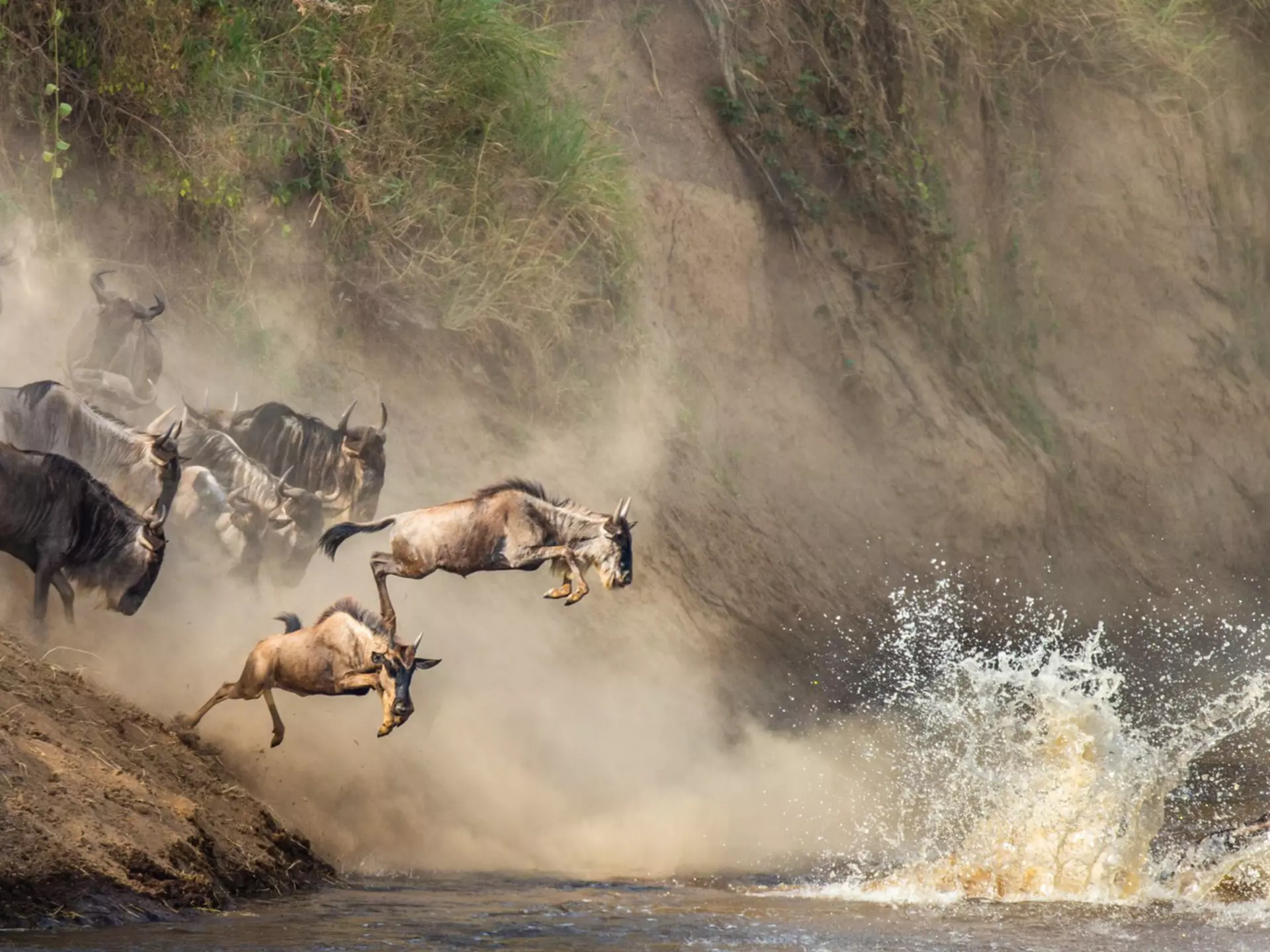 From jaw-dropping safaris to beach-hopping along the coast, these top tips will make your trip to Tanzania even better. GUDKOV ANDREY/Shutterstock
