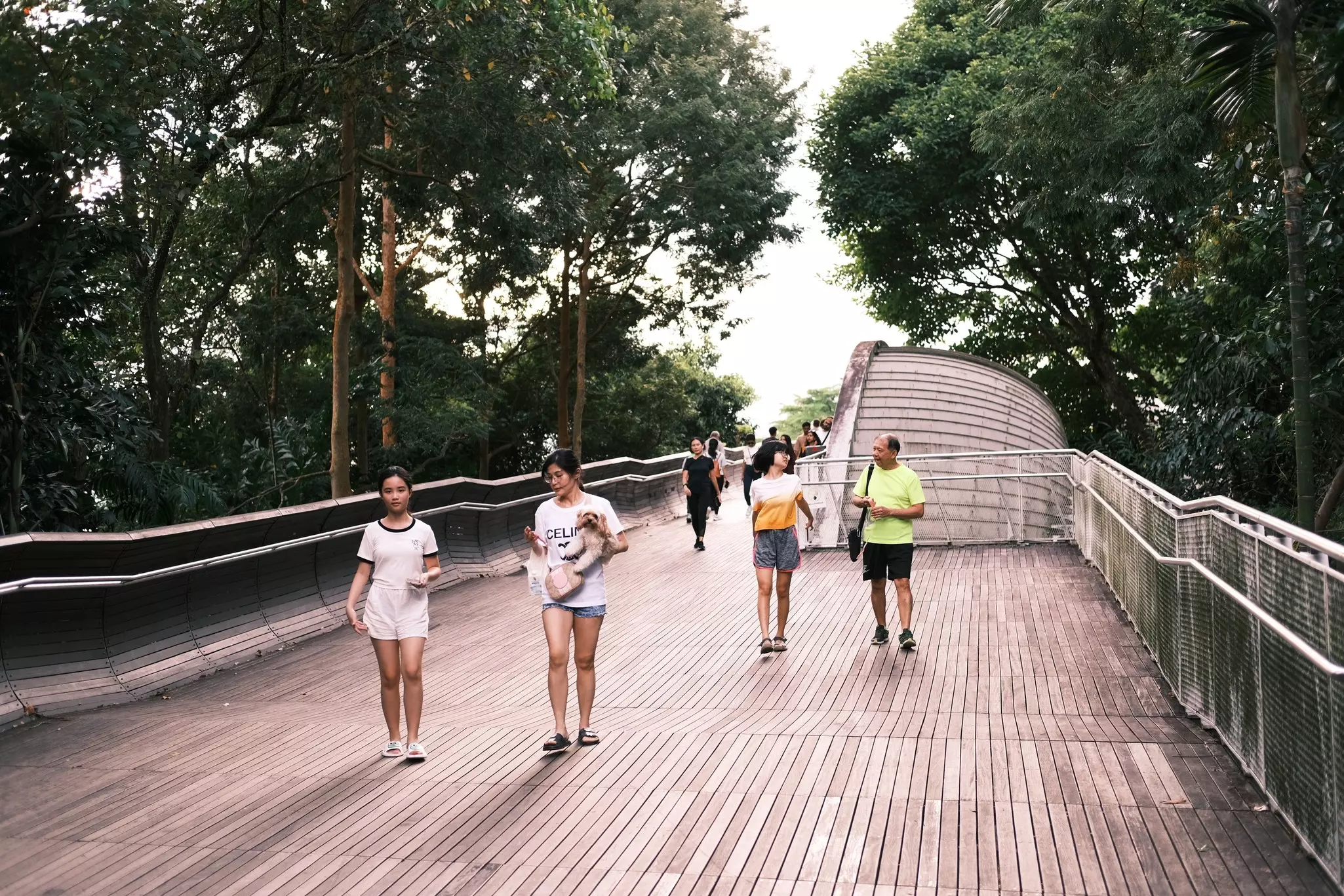 People walk on a pedestrian bridge with wooden planks leading through a tropical forest.