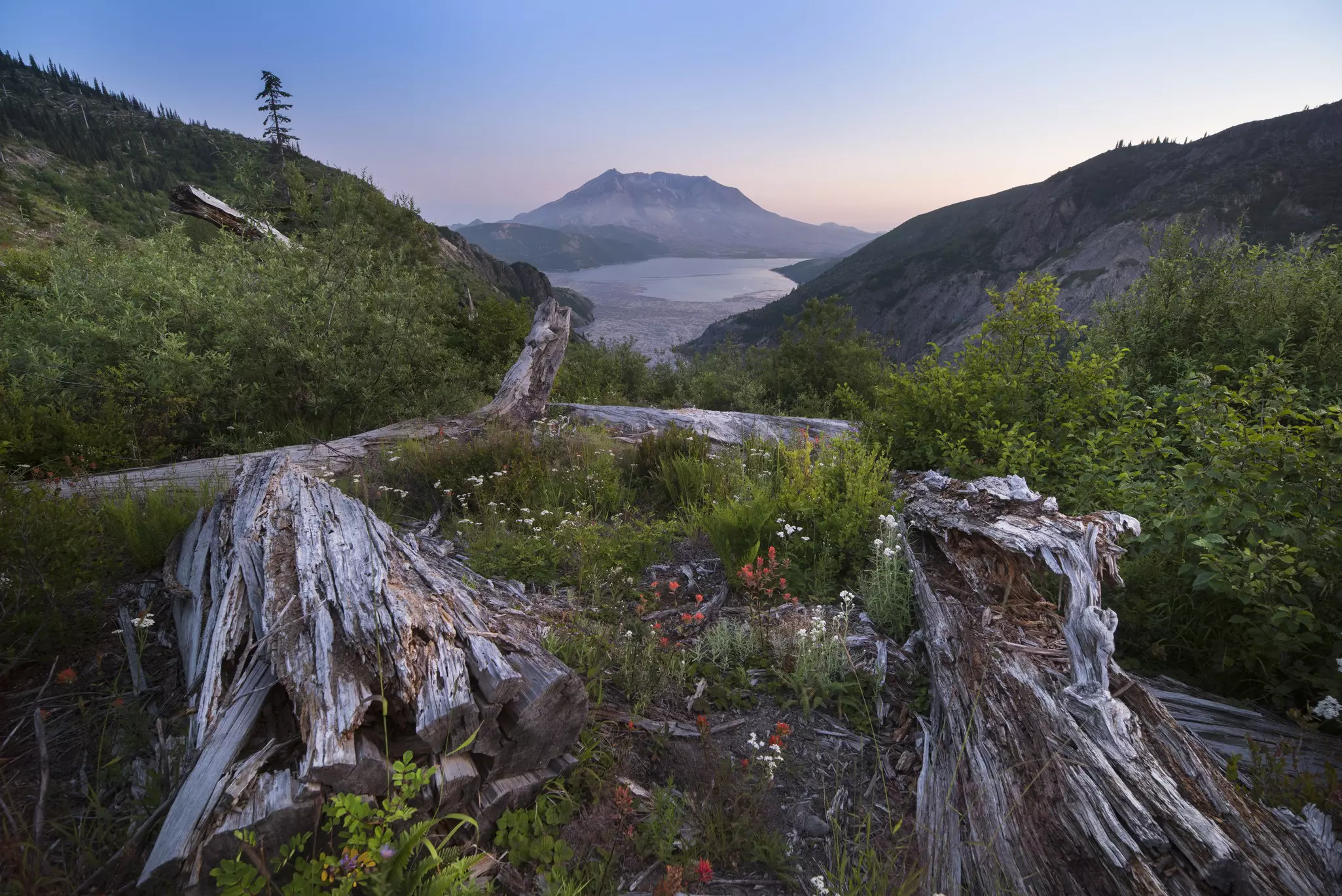 The apocalyptic landscapes of Mt St Helens illustrate the damage wreaked by the famed 1980 volcanic eruption © Getty Images / iStockphoto