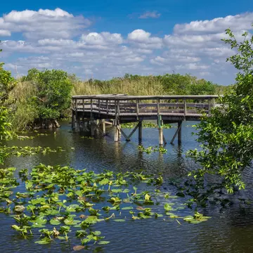 Anhinga Trail Boardwalk through the Everglades National Park, Florida