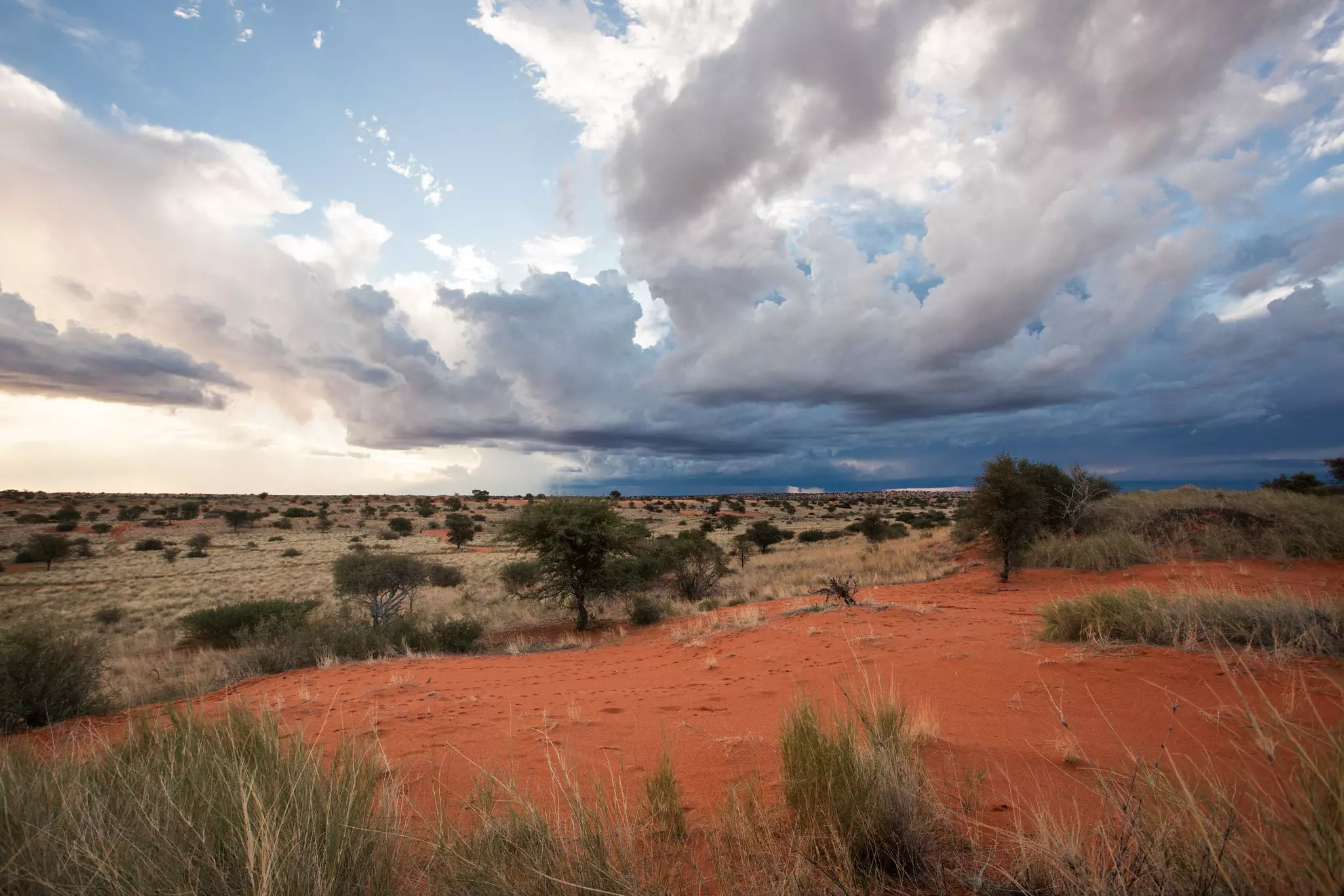 A vast dusty landscape of desert and grassland with gray storm clouds gathering overhead.