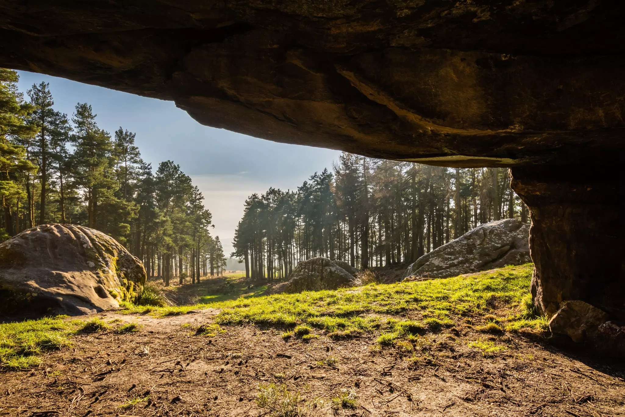 The overhang of St Cuthbert's Cave and surrounding boulders in dense forest as the sun shines through the trees.