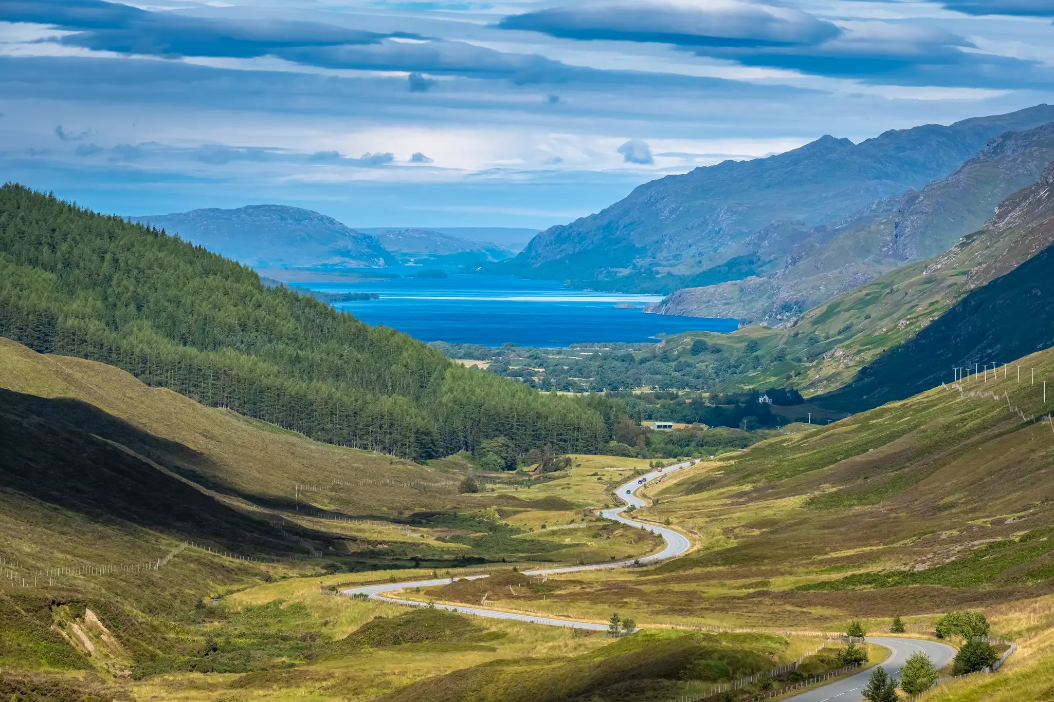 The vast greenery of Loch Maree Viewpoint, Beinn Eighe and Loch Maree National Nature Reserve, within the Scottish Highlands