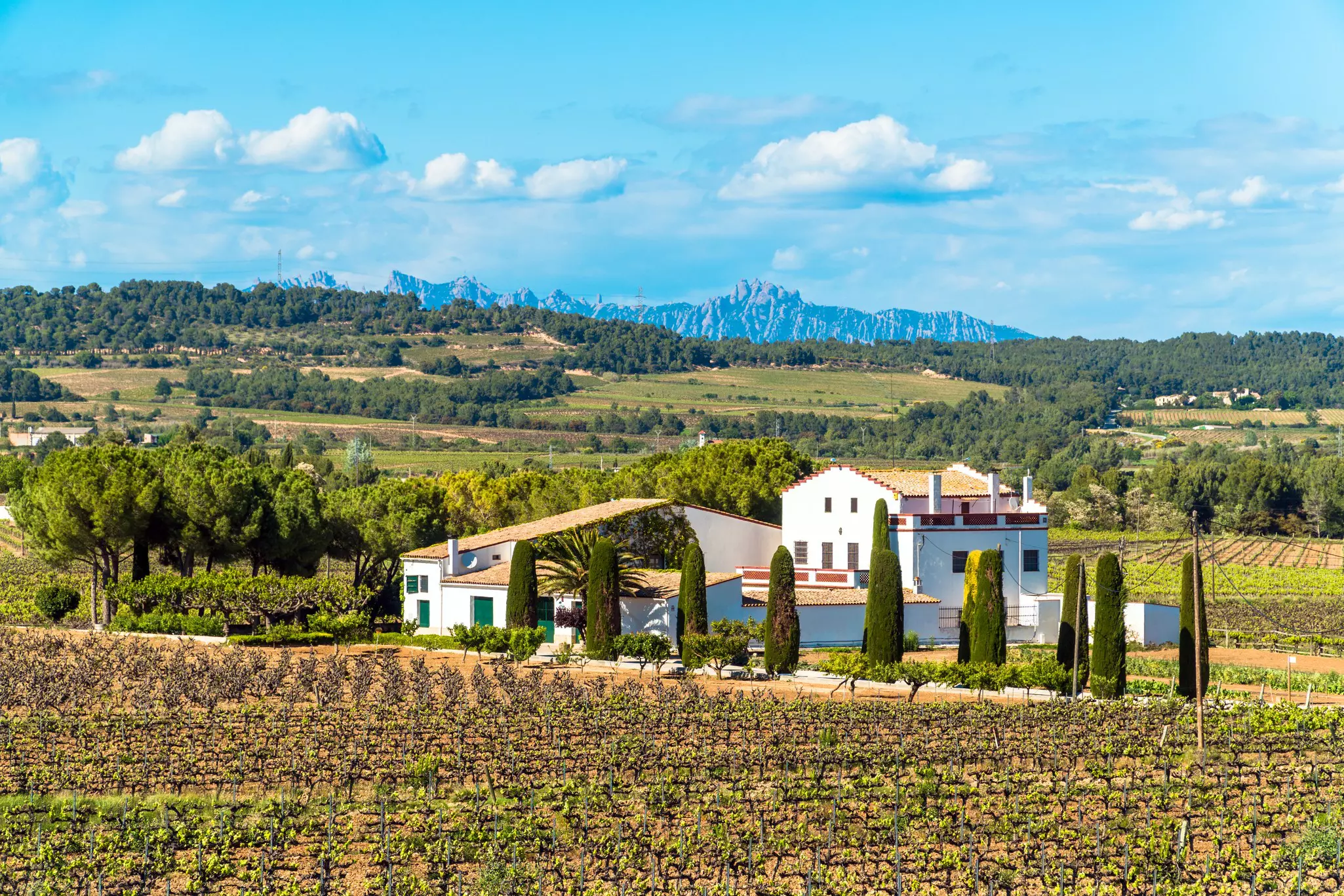 A cellar at Penedès wine region with Montserrat mountains in the distance.