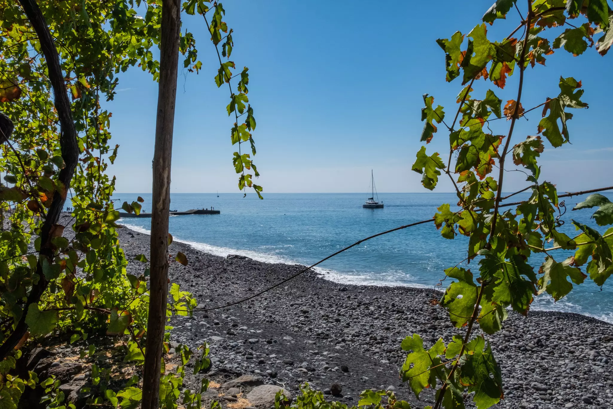 The beach at Fajã dos Padres, viewed through the grapevines, Madeira, Portugal.