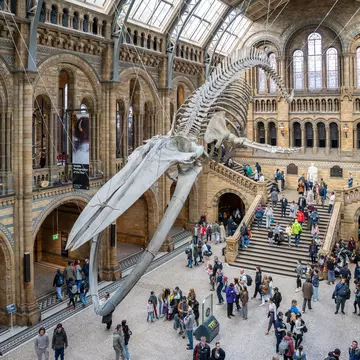 Natural History Museum. Stefan_Sutka/Shutterstock