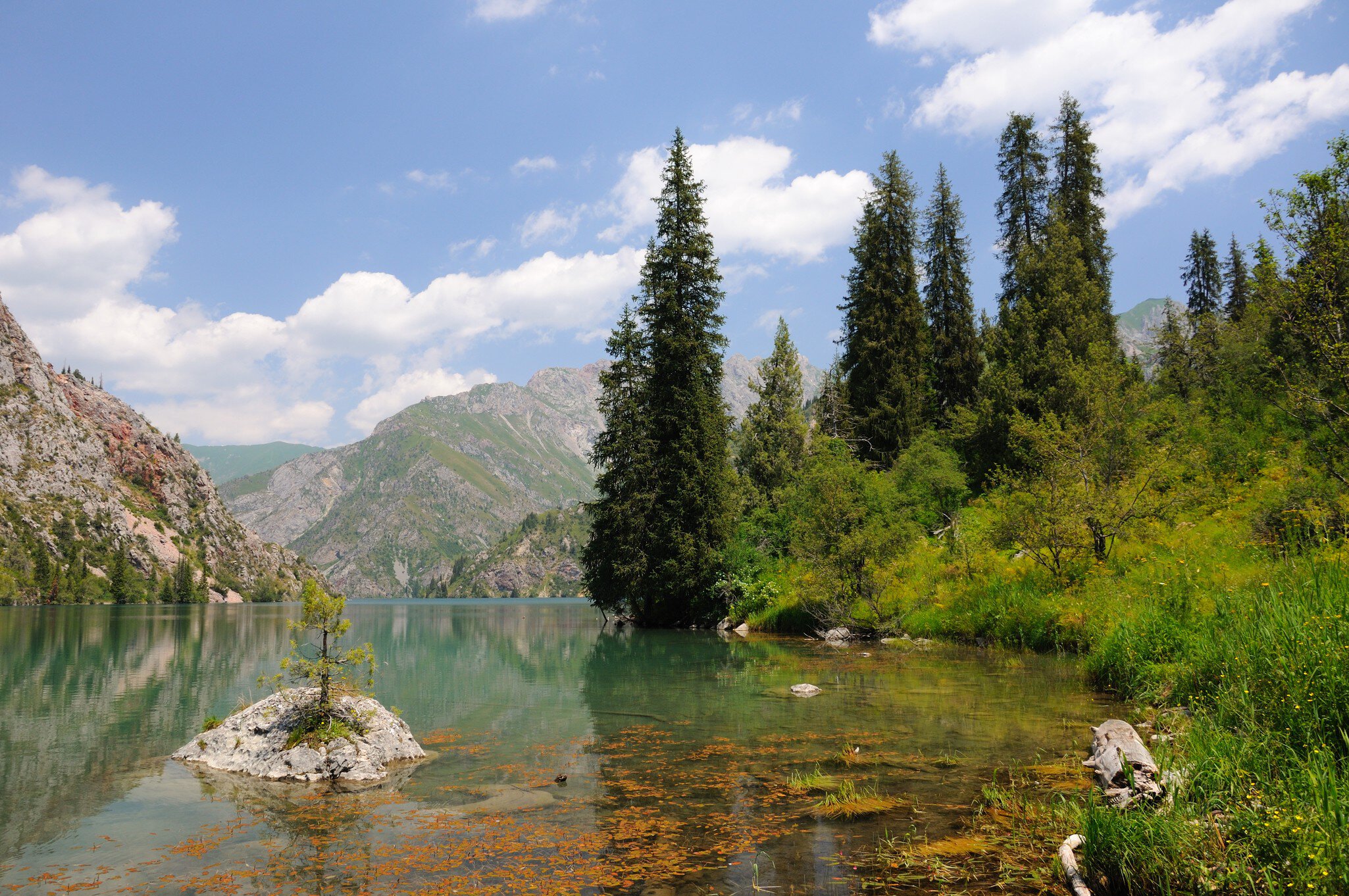 Colorful and amazing Sary-Chelek Lake with lakeside, mountains, fur-trees, sky and clouds; Shutterstock ID 61984723;