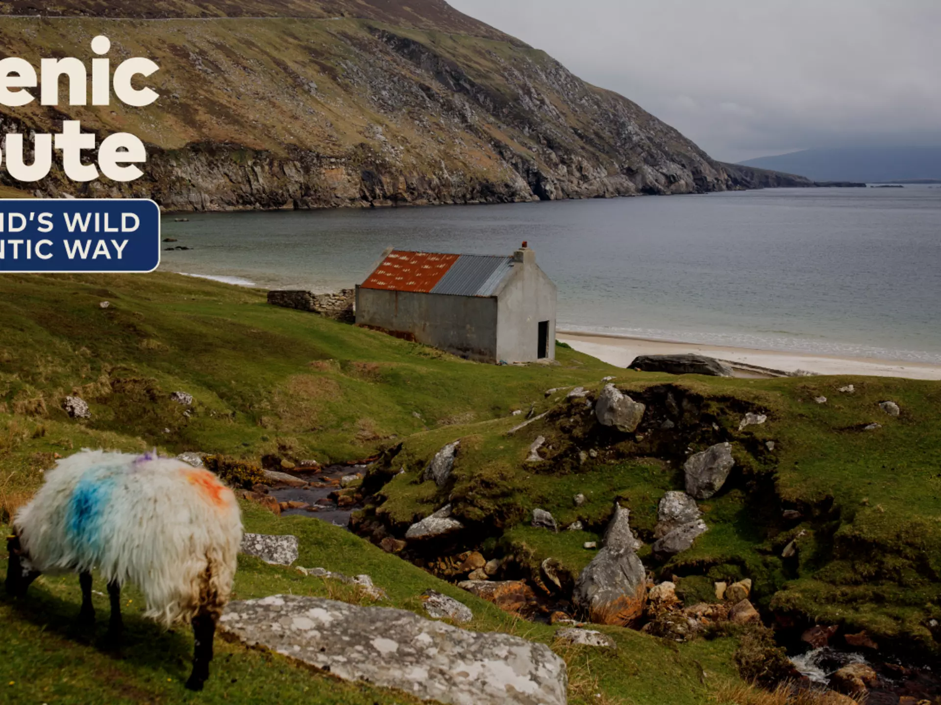 This itinerary takes you up the Wild Atlantic Way county-by-county – a thrilling route that encompasses adventurous hiking trails, scenic overlooks, foodie stops, history from the Bronze age to WWII © Robert Ormerod for Lonely Planet; Graphics by Dustin Johnson / Lonely Planet