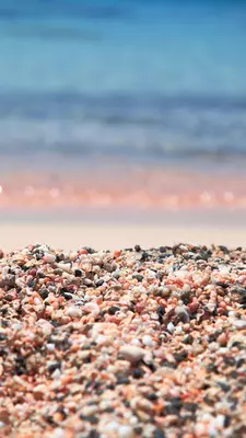 Close-up of small shells and stones at the pink Elafonisi beach.