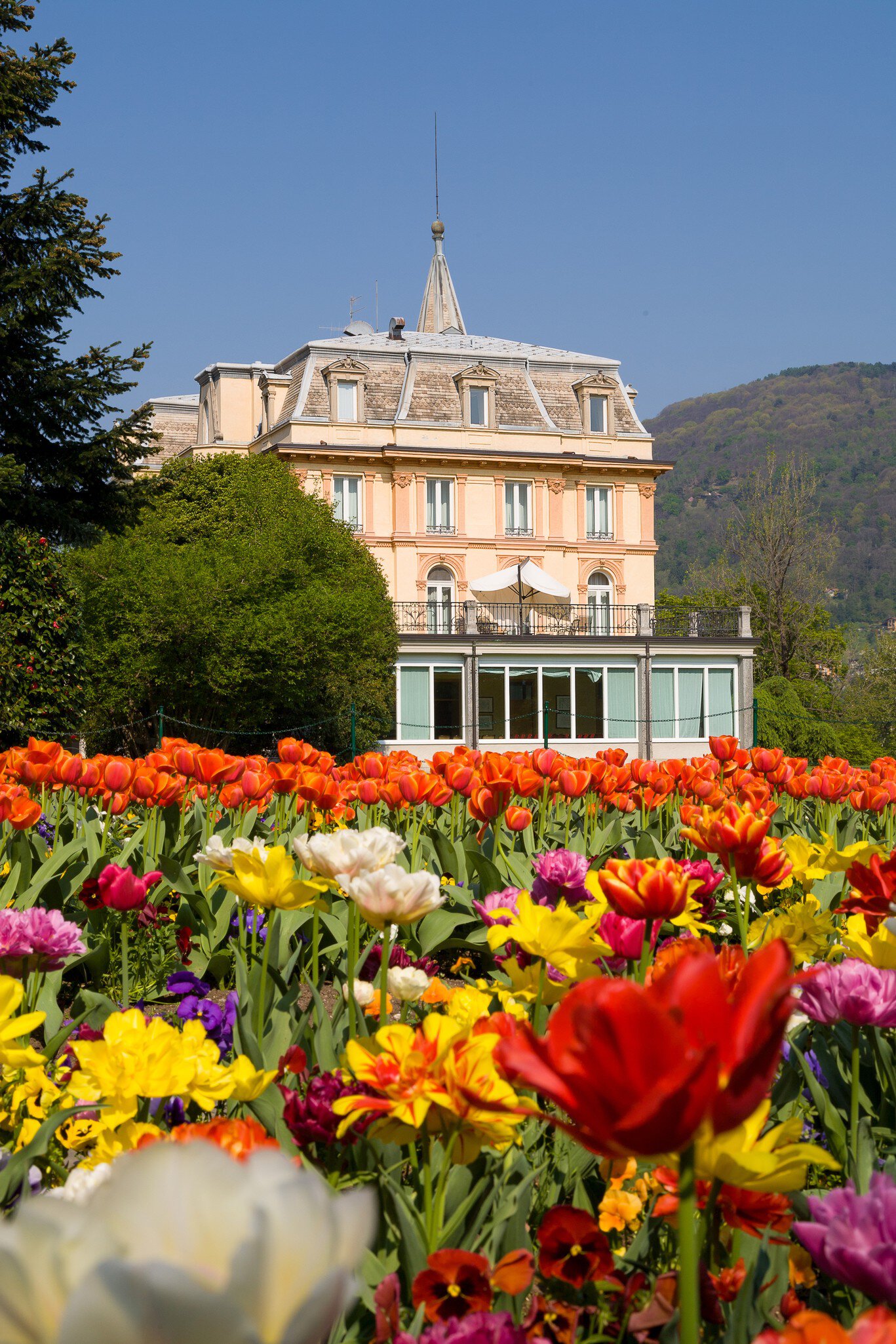 Colorful flowers in the garden of Villa Taranto, on Lake Maggiore, Piedmont, Italy.