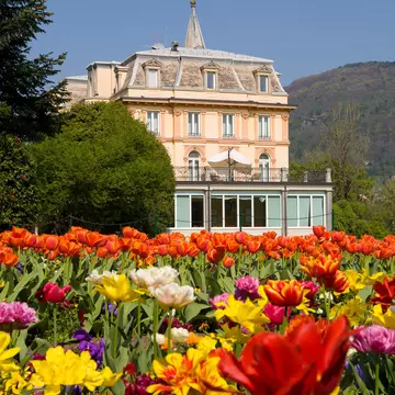 Colorful flowers in the garden of Villa Taranto, on Lake Maggiore, Piedmont, Italy.