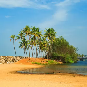 Topical landscape with blue sky and palm trees in Kerala.