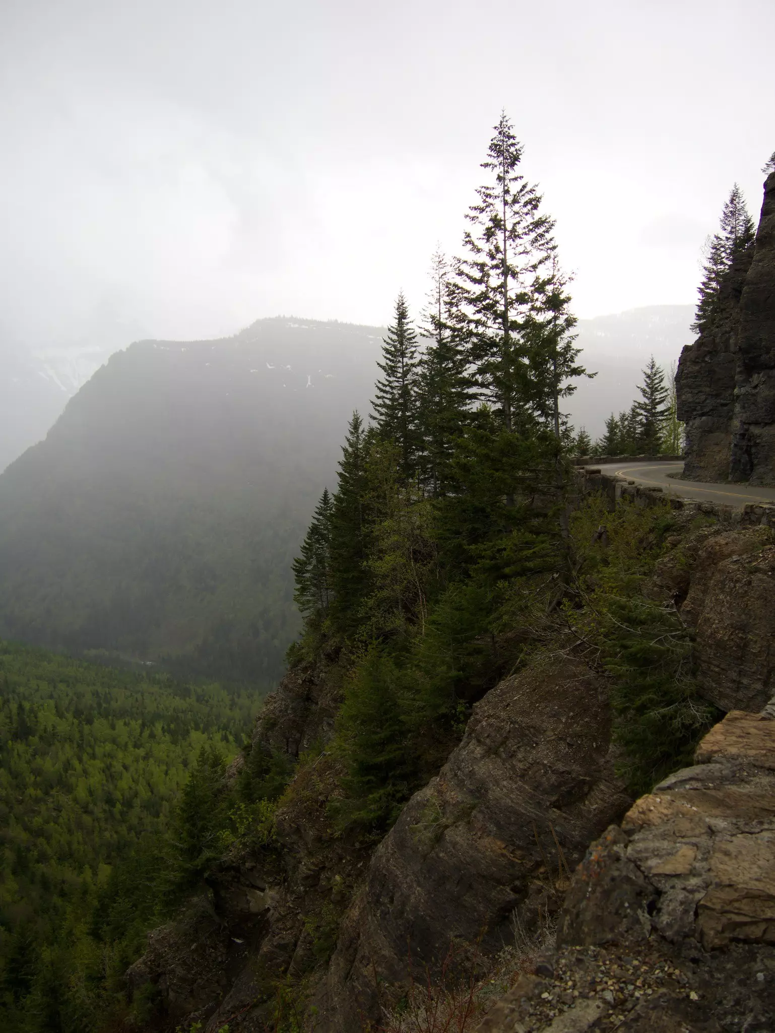 Going to the Sun Road in Glacier National Park. 