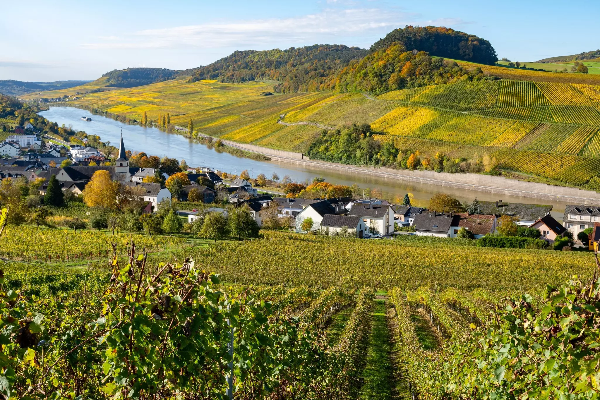 A view of beautiful green vineyards sloping down toward a river