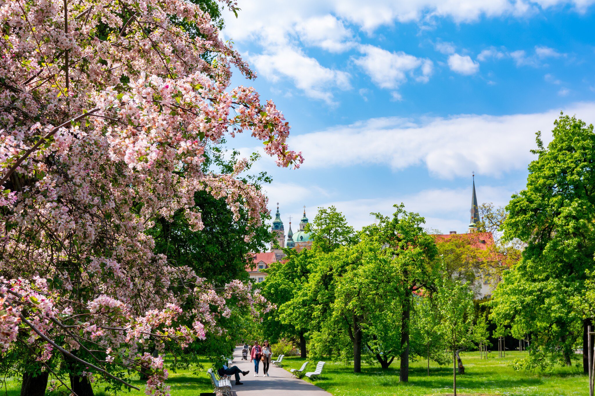 Prague, Czech Republic. Vojanovy Sady gardens in Mala Strana in spring.