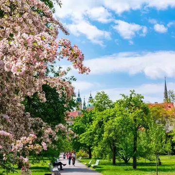 Prague, Czech Republic. Vojanovy Sady gardens in Mala Strana in spring.
