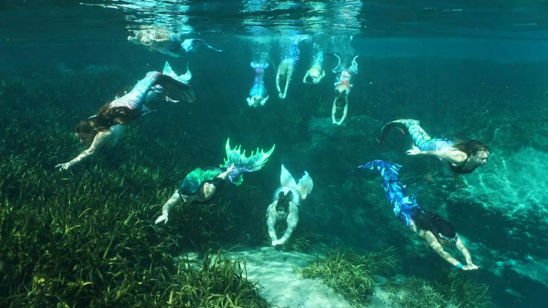A pod of mermaids dive into a Florida spring © Dan Compton 