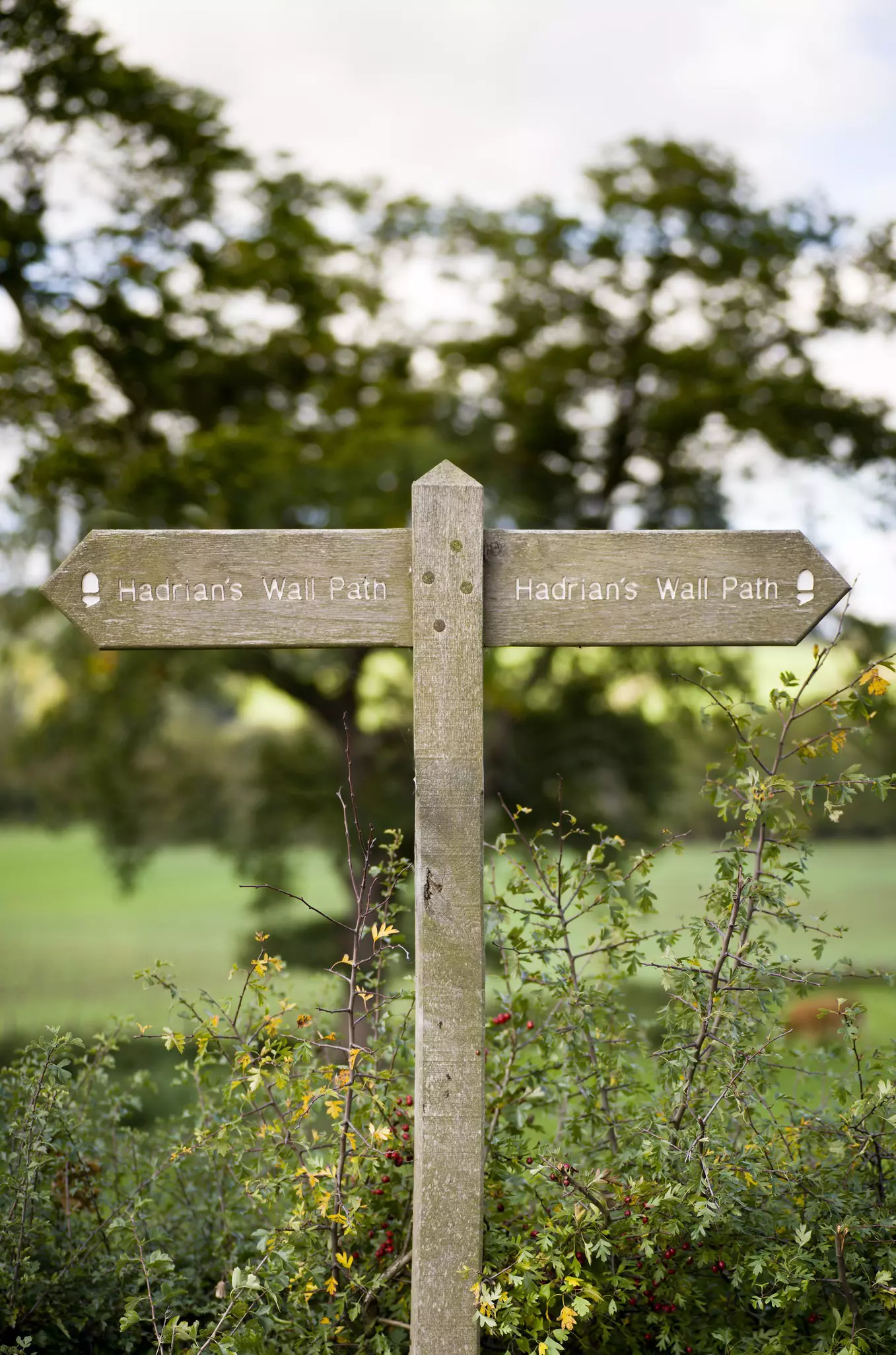 A signpost with two arrows pointing in opposite directions for the Hadrian's Wall Path.