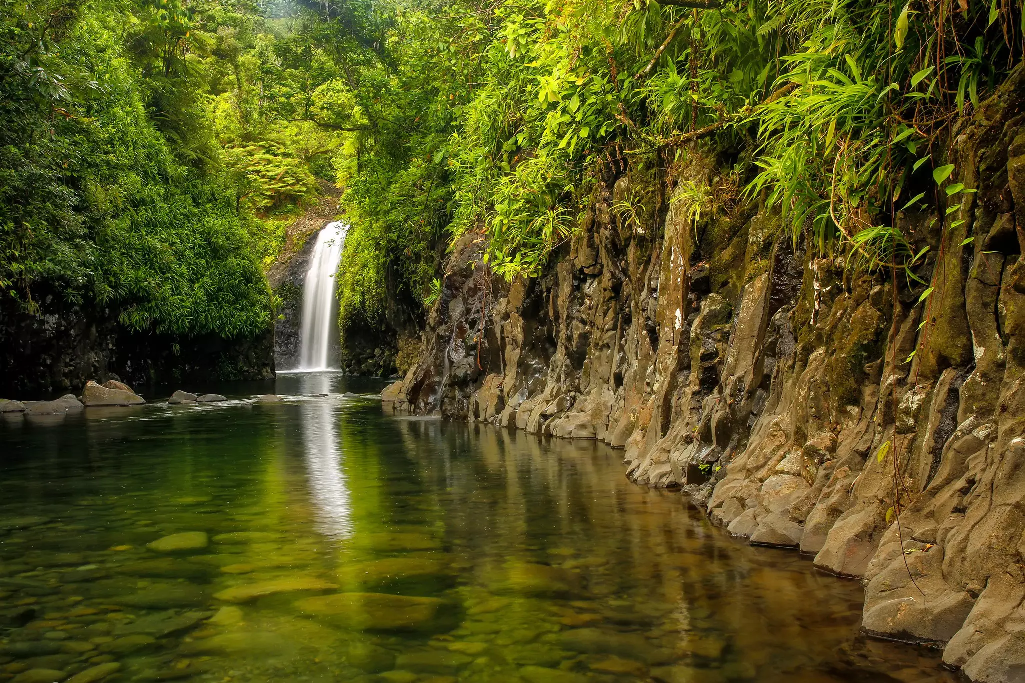 A sheer rock face gives way to a jungle-covered pool with a waterfall plunging into it.