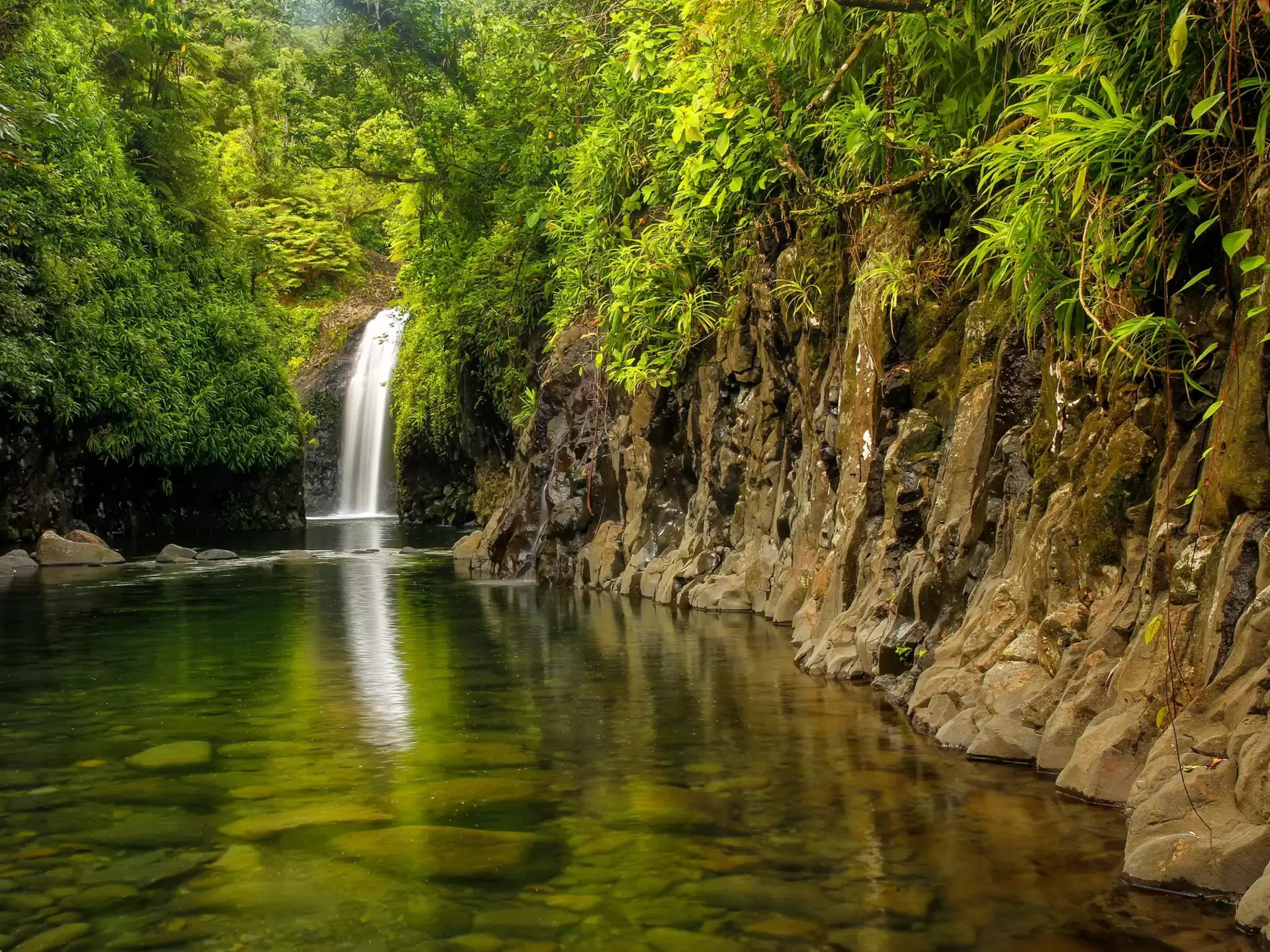 A sheer rock face gives way to a jungle-covered pool with a waterfall plunging into it.