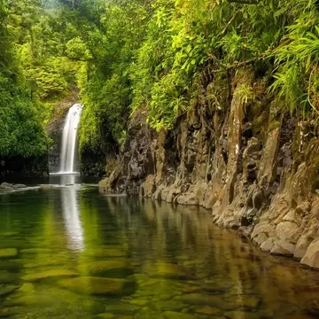A sheer rock face gives way to a jungle-covered pool with a waterfall plunging into it.